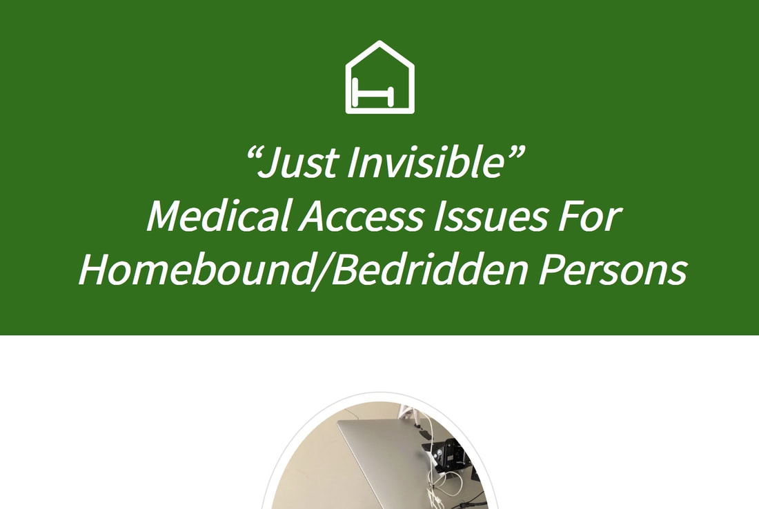 Screenshot of part of the Just Invisible website